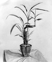 cours de dessin