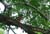 DSCF0036