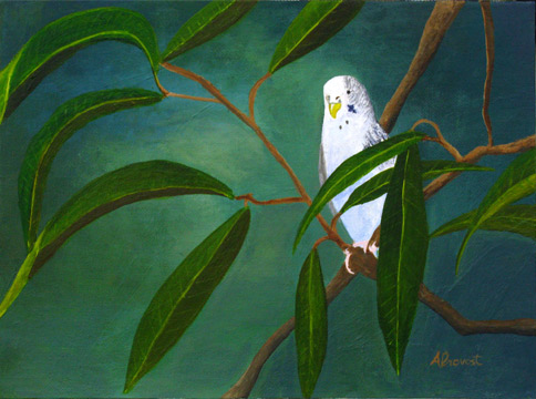 photo de la toile
