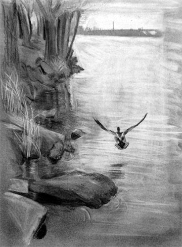 photo de la toile