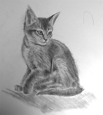 photo de la toile