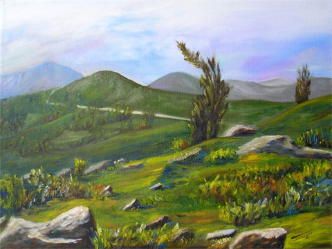 photo de la toile