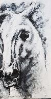 20190409_154729.jpg