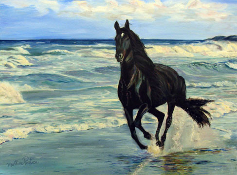 photo de la toile