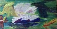 seduction-aquatique.jpg
