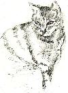 chat-590.jpg
