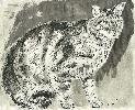 chatenc900.jpg