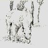 cheval-640-rene.jpg