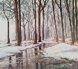 foret-hivernale.jpg