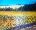 champs-de-tournesols.jpg