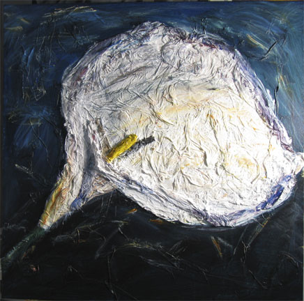 photo de la toile