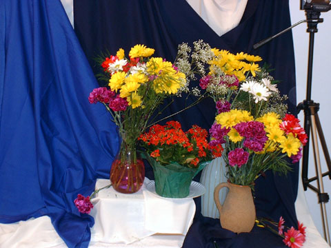 photo de la toile