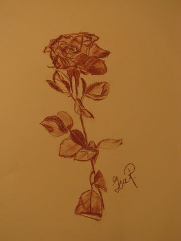 photo de la toile