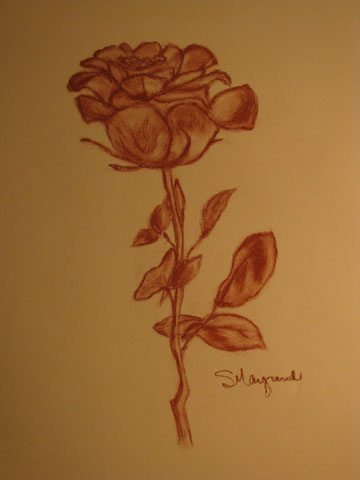 photo de la toile