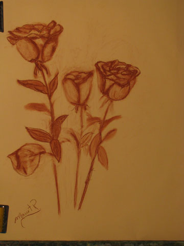 photo de la toile