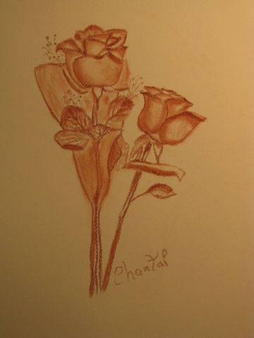 photo de la toile