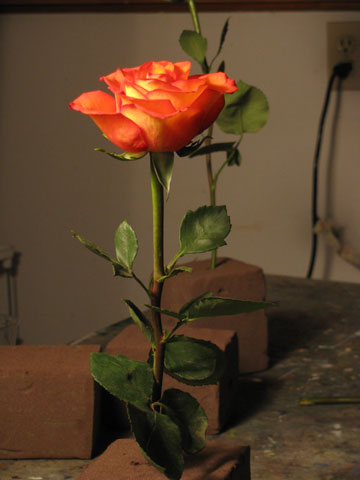 photo de la toile