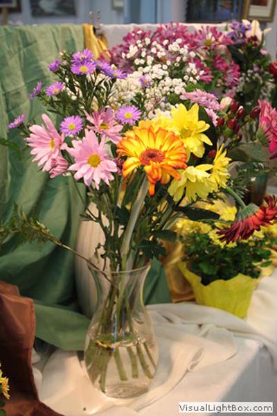 photo de la toile