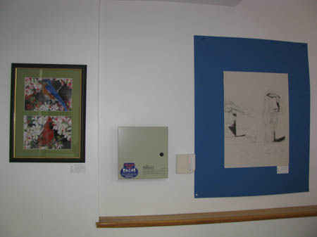 photo de la toile