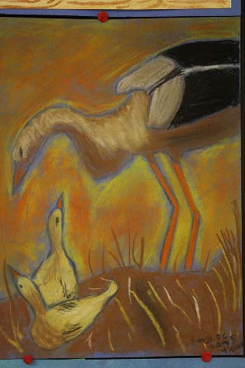 photo de la toile
