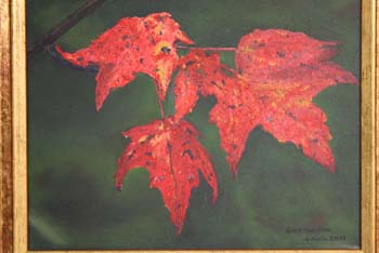 photo de la toile