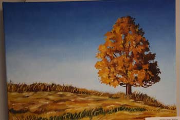 photo de la toile