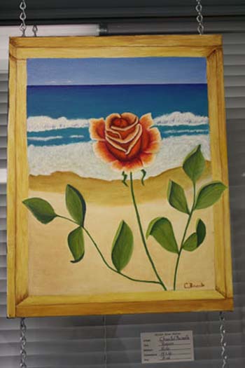 photo de la toile