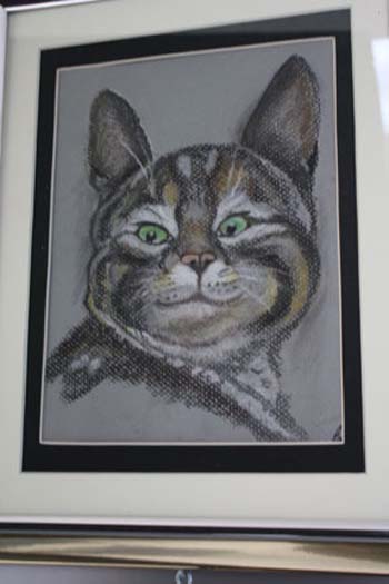 photo de la toile