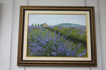 photo de la toile