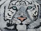 20190112_152849.jpg