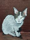 IMG_20180519_154716191.jpg