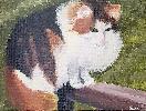 20200125_115905.jpg