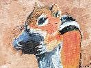 20190525_114036.jpg