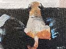 20190608_135249.jpg