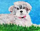 20190309_100512.jpg