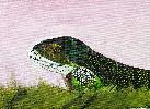 20190525_142513.jpg