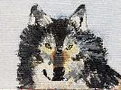 20190525_114559.jpg