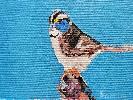 20190608_101833.jpg