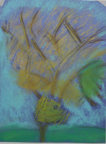photo de la toile